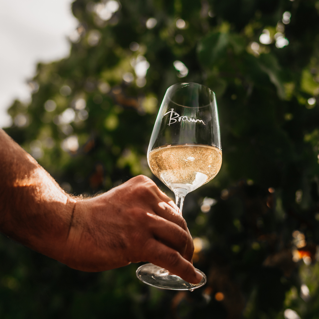 Warum ein Tasting-Event auf einem Weingut so besonders ist...