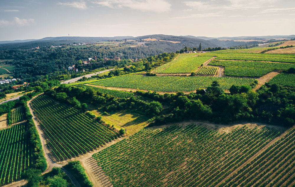 Weingut Hammel & Cie.
